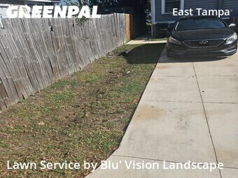 Lawn Maintenance nearby Tampa, FL, 