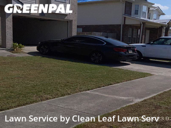 Grass Cut nearby Harvey, LA, 