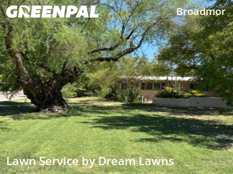 Lawn Maintenance in Tempe, 85282, Yard Care Services by Dream Lawns, work completed in Oct , 2025