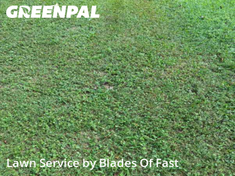 Lawn Mow nearby Atlanta, GA, 