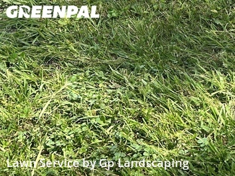 Lawn Care nearby Matthews, NC, 