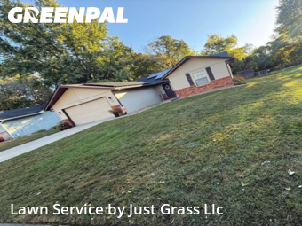 Backyard Mowing in Belleville, 62221, Grass Services by Just Grass Llc, work completed in Nov , 2025