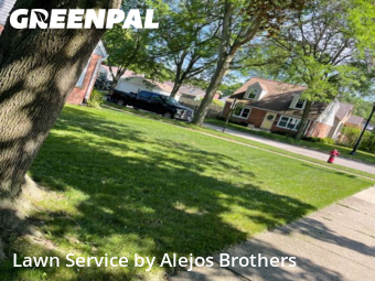 Lawn Mowin Evanston,60202,Yard Cutting by Alejos Brothers, work completed in Jan , 2026