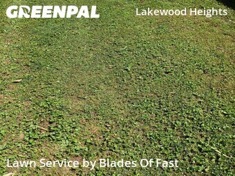 Lawn Mow nearby Atlanta, GA, 