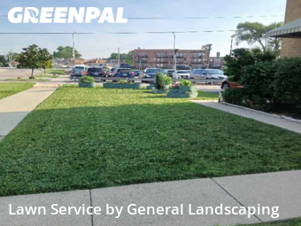 Yard Grooming in Elmwood Park, 60707, Property Maintenance by General Landscaping , work completed in Nov , 2025