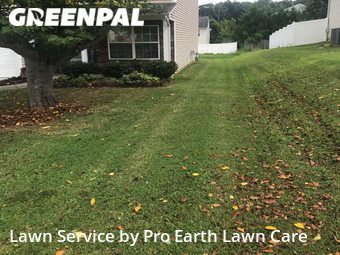 Lawn Cut nearby Lowell, SC, 