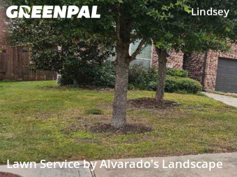 Lawn Maintenancein Atascocita,77346,Lawn Cutting by Alvarado's Landscape, work completed in Dec , 2025