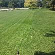 local-lawn-cutting-services-in-Waukegan-IL