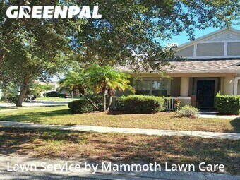 Grass Cut nearby Riverview, FL, 