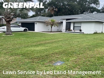 Grass Cut nearby Lakeland, FL, 