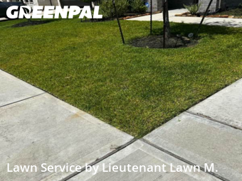 Work completed by affordable-lawn-services-in-Cypress-CA