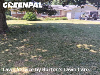 Lawn Mow nearby Youngstown, OH, 