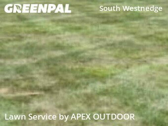 Lawn Service nearby Kalamazoo, MI, 