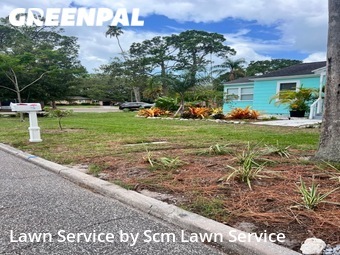 Yard Cutting nearby Dunedin, FL, 