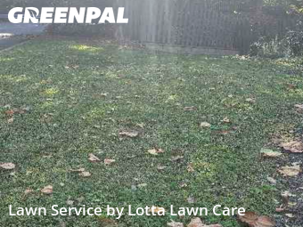 Landscapers In Chattanooga,37415,Landscaping Cleanup by Lotta Lawn Care, work completed in Oct , 2025
