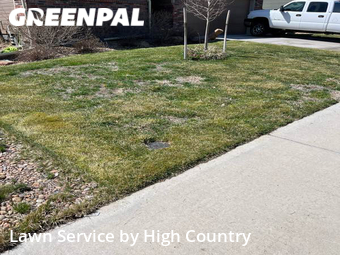 Lawn Mowing Service nearby Thornton, CO, 