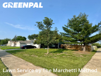 Lawn Mowing Service nearby Aurora, IL, 