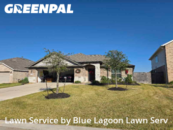 Lawn Mowing Servicein Katy,77493,Lawn Care Service by Blue Lagoon Lawn Serv, work completed in Dec , 2025