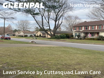 Yard Maintenance in Virginia Beach, 23454, Yard Care by Cuttasquad Lawn Care, work completed in Dec , 2025