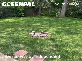 Grass Cut nearby Fort Collins, CO, 