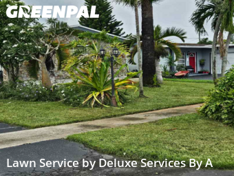 Lawn Maintenancein Sunrise,33322,Lawn Cutting by Deluxe Services By A, work completed in Dec , 2025
