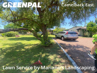 Grass Cut nearby Phoenix, AZ, 