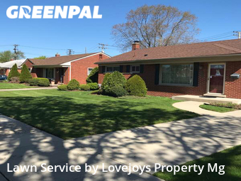 Grass Cut nearby Livonia, MI, 