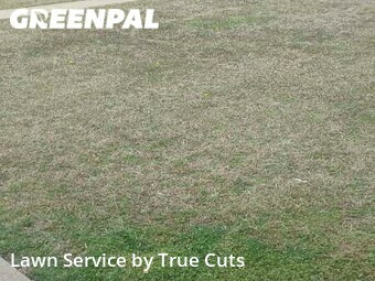 Lawn Cutting nearby Moore, OK, 