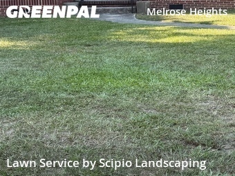 Landscaper In Columbia,29205,Landscaping by Scipio Landscaping , work completed in Jul , 2026