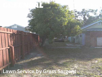 Affordable Landscaping Maintenance Services In St. Petersburg,33713,Landscaping by Grass Sargent, work completed in Dec , 2025