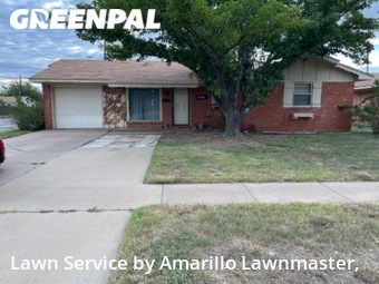 Lawn Cut nearby Amarillo, TX, 