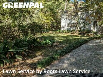 Yard Mowing nearby Spring, TX, 