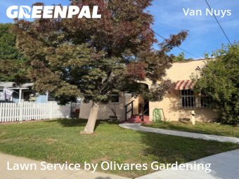 Affordable Landscaping In Los Angeles,91405,Landscaping Installation by Olivares Gardening , work completed in Jan , 2026