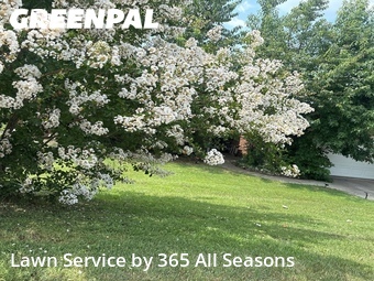 Yard Cutting nearby Grovetown, GA, 