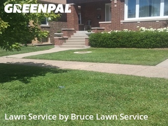 Yard Cutting nearby Berwyn, IL, 