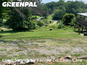 Lawn Mowing nearby Kingsport, TN, 