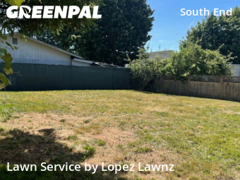 Grass Cut nearby Tacoma, WA, 