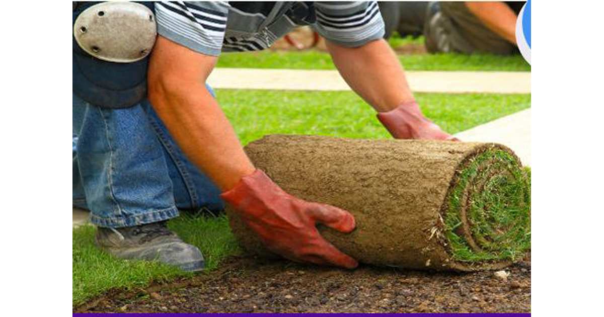 How to Install Sod, in just 5 Easy to Follow Steps | GreenPal