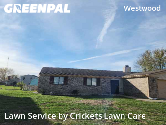 Lawn Care nearby Indianapolis, IN, 