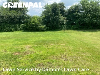 Landscaping Services In Athens,35613,Landscaping Services by Damon’s Lawn Care, work completed in Jul , 2026