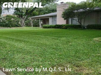 Grass Cutin Alamo Heights,78209,Lawn Care by M.Q.L.C. Llc., work completed in Dec , 2025
