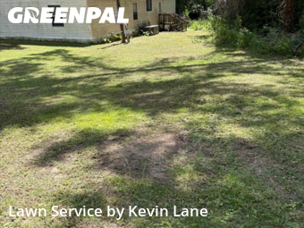 Lawn Cut nearby Belleview, FL, 