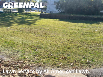 Lawn Cutting nearby St. Louis, MO, 