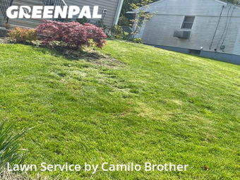 Grass Cutting nearby Danbury, CT, 