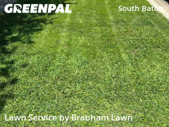 Lawn Service nearby Baton Rouge, LA, 