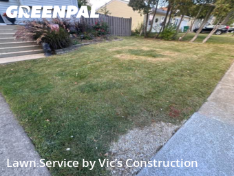 Yard Management in Romeoville, 60446, Yard Grooming by Vic’s Construction , work completed in Nov , 2025
