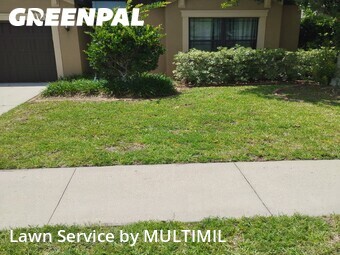 Lawn Cut nearby Spring Hill, FL, 