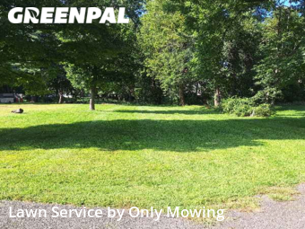 Lawn Mow nearby Delmar, NY, 