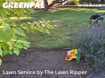 Lawn Mowing Service nearby Seattle, WA, 