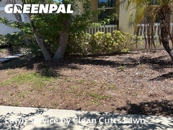 Lawn mowed in Apollo Beach, 33572